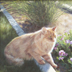 Cat prowling through flowerbed